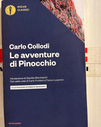Libro “Le avventure di pinocchio”