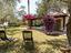 Immagine 18