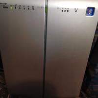 Purificatore Ionizzatore Sharp