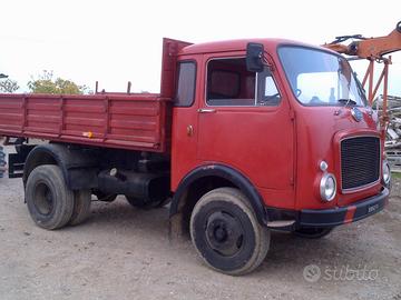 Autocarro OM Leoncino