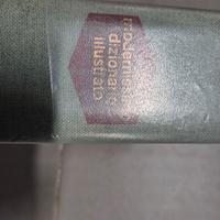 Dizionario Modernissimo illustrato 