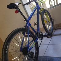 biciclettata per ragazzo 