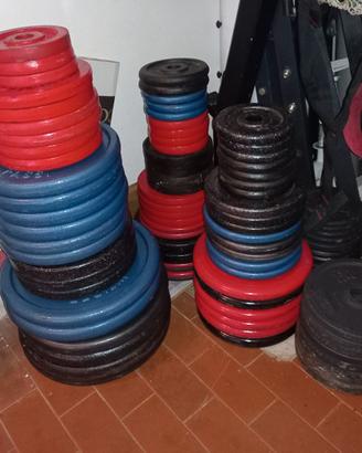 Pesi palestra e manubri