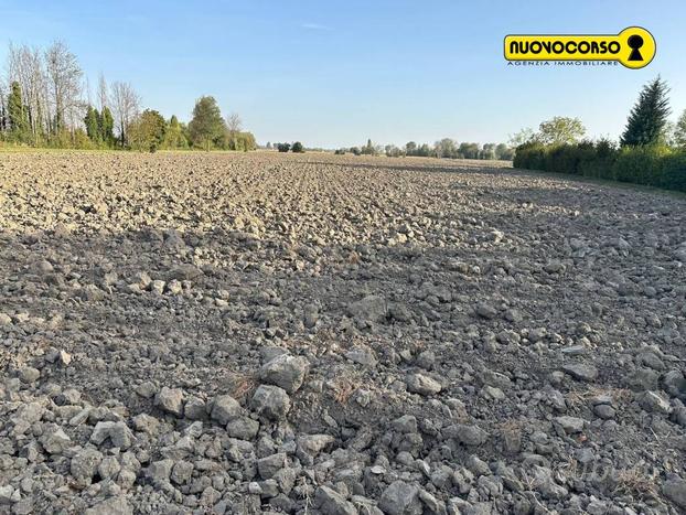 Rovigo a 2 km - Terreno agricolo di 19 ettari