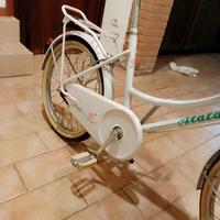 Atala vintage