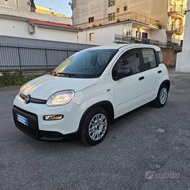 Fiat Panda Hybrid City Life
