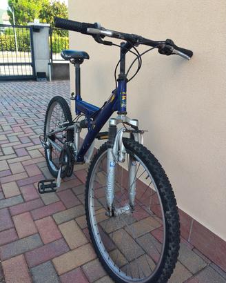 bicicletta da ragazzo arrampichino 