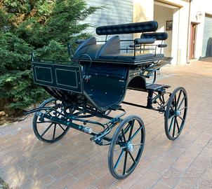 Carrozza Spider (22)