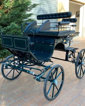 Carrozza Spider (22)