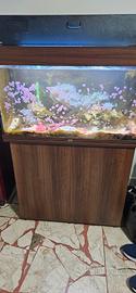 acquario juwel rio 125