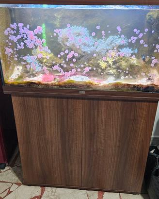 acquario juwel rio 125