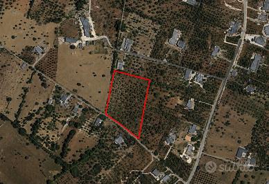 Terreno Residenziale Monopoli