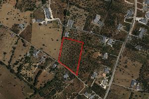 Terreno Residenziale Monopoli