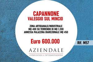 Immobile di 862 m² a Valeggio sul Mincio