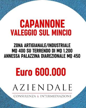 Immobile di 862 m² a Valeggio sul Mincio