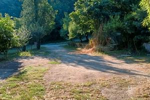 Terreno agricolo con deposito