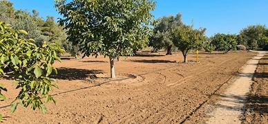 Terreno 1.850 mq a Cutrofiano C.da Metallo