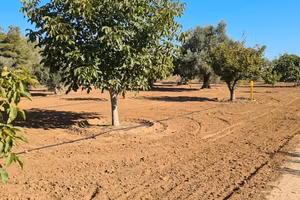 Terreno 1.850 mq a Cutrofiano C.da Metallo