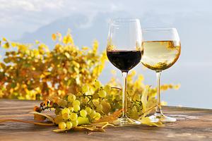 Wine Bar Milano Cenisio