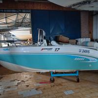 Open brube shark del 2016