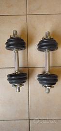 2 pesi da 7,5 kg della energetics