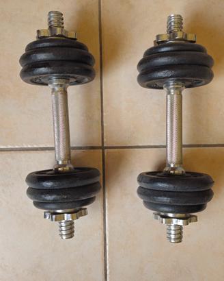 2 pesi da 7,5 kg della energetics
