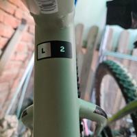 Giant bici elettrica front