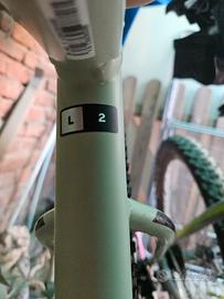 Giant bici elettrica front