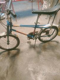 biciclettata giordano 