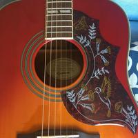 Epiphone Hummingbird/HS