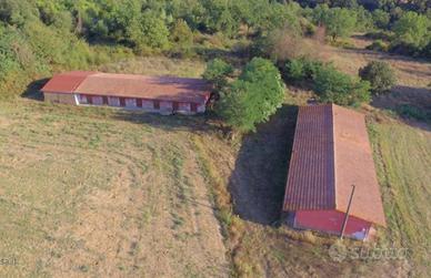 Immobili Con Terreno