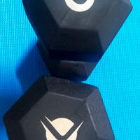 Coppia di manubri da 25kg