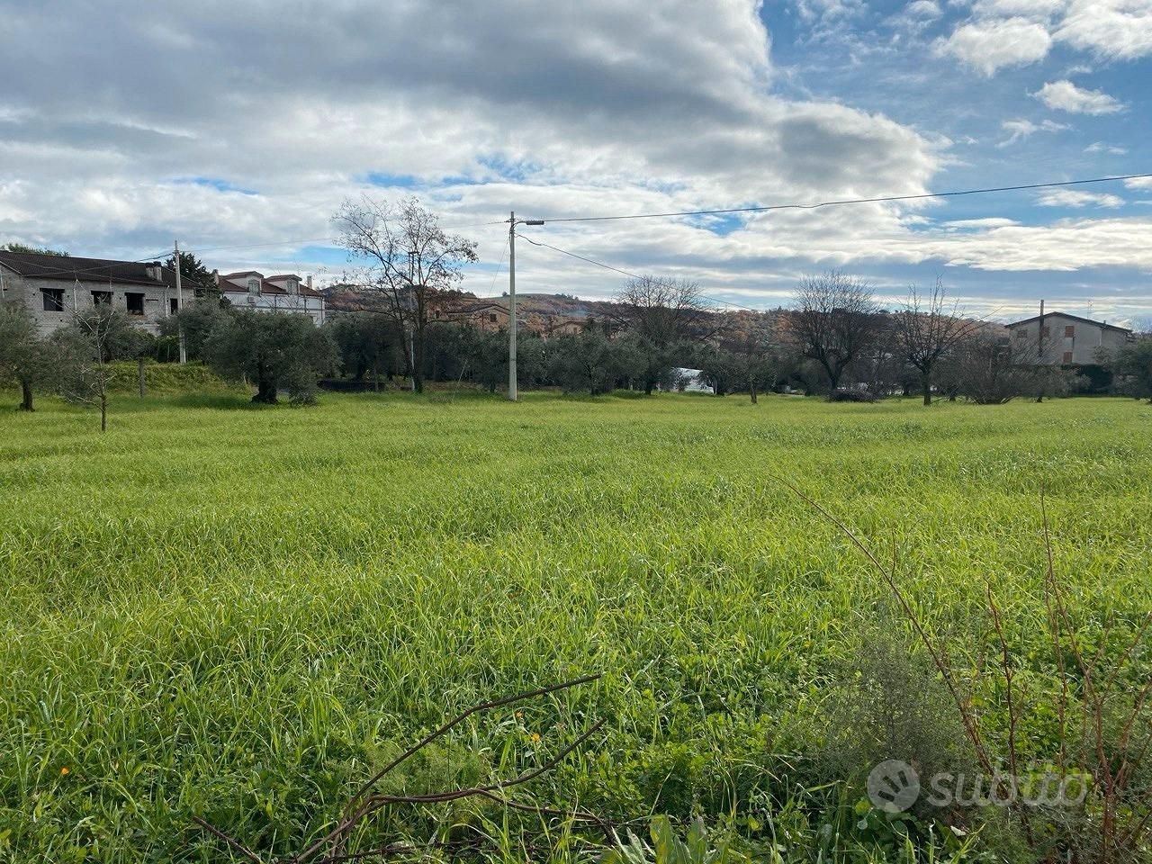 Terreno edificabile di circa 10.000 m² - Vista 3