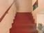 Immagine 19