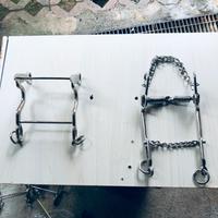 Morso sardo + morso sardo da doma