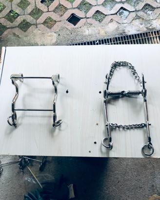 Morso sardo + morso sardo da doma