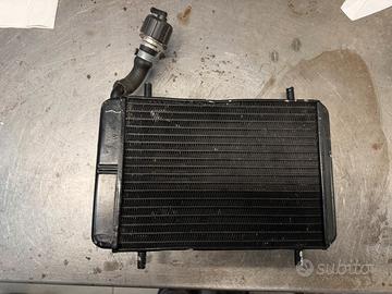 Radiatore malossi zip sp