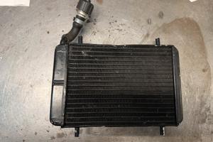 Radiatore malossi zip sp