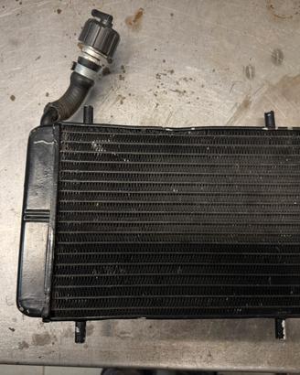 Radiatore malossi zip sp