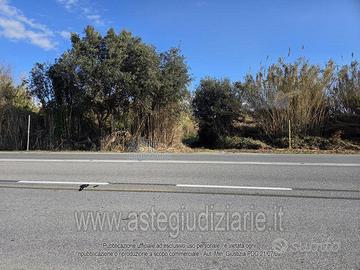 Terreno Agricolo Piombino [A4349076]
