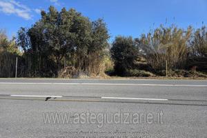 Terreno Agricolo Piombino [A4349076]