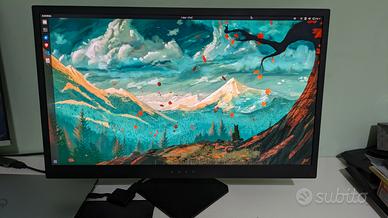 Monitor HP Omen 25