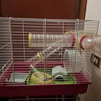 gabbia per criceto 