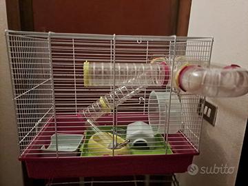 gabbia per criceto 