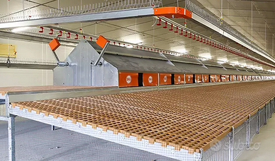 Nidi per galline biologiche