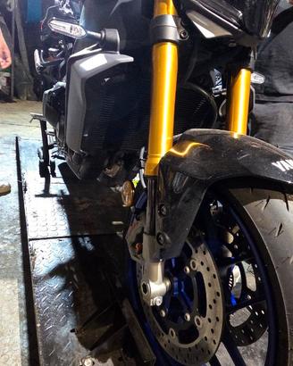 forcelle yamaha mt 09 sp