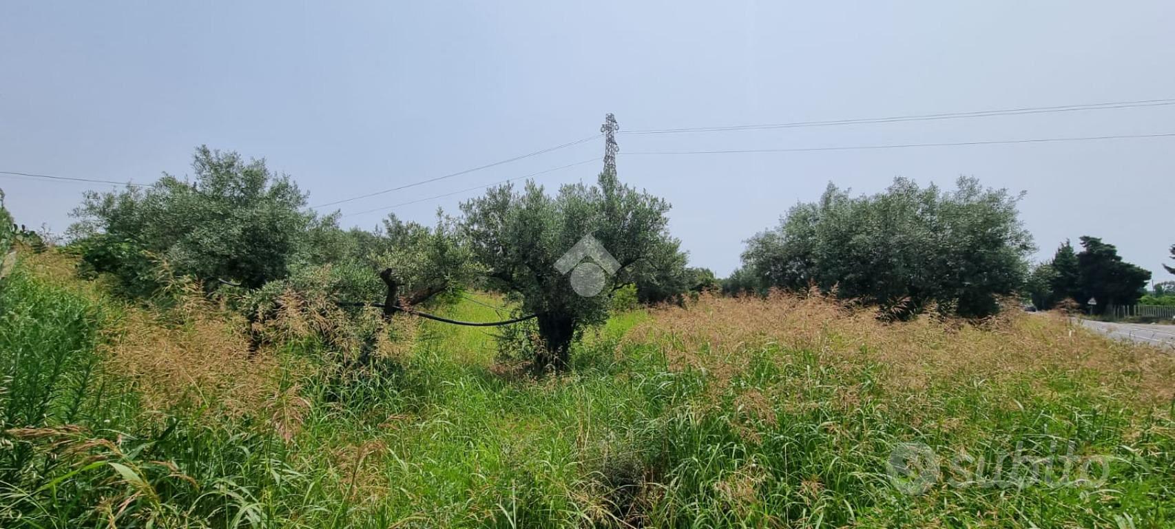 TER. AGRICOLO A CATANZARO - Vista 5