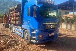 Camion Tronchi Man