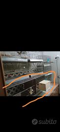 gabbia120