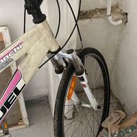 bicicletta bianchi
